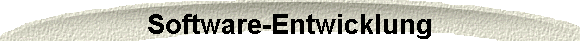  Software-Entwicklung 